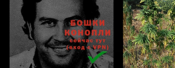 гидра Осинники